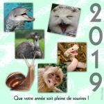 Meilleurs vœux 2019